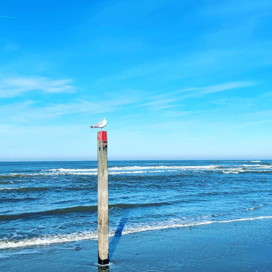 Hotel Zeerust Texel De Koog  Bagian luar foto